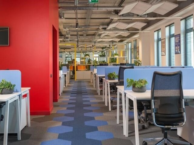 山东养鸡设备大全