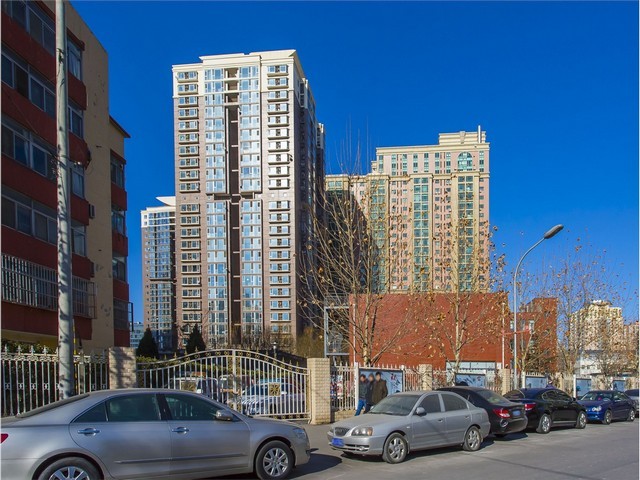 山西试剂级铋粒推荐厂家